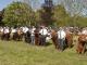 thumbnail 884 --0229.jpg